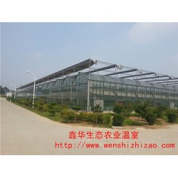 廠家定制 文洛型連棟智能玻璃溫室 花卉農業玻璃溫室工程