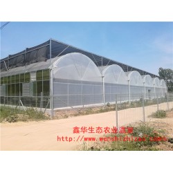 定制連棟薄膜溫室 塑料日光大棚 圓拱形連棟溫室 廠家安裝
